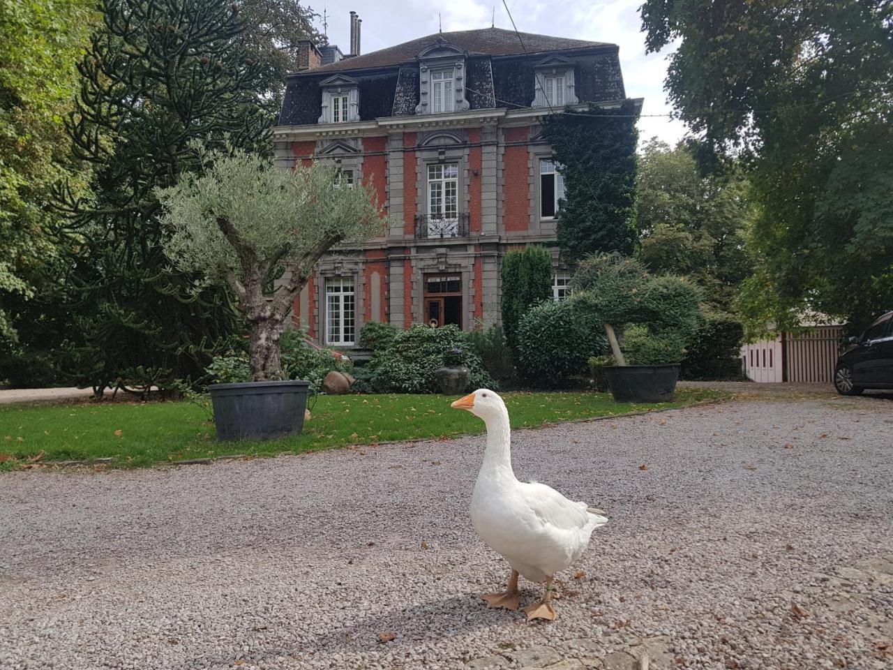 Chateau Lambert Moulinsart Hotel, Shuttle Airport, Long Term Parking, Snooker, Large Terrasse, Dinner, Breakfast 샤를루아 외부 사진